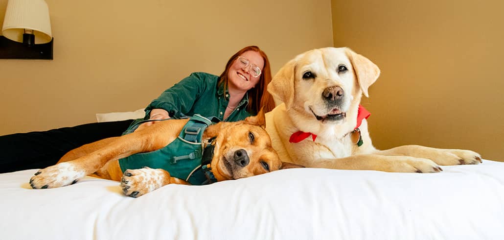 Two dogs and their owner laying in a bed in a Snow Cap room.