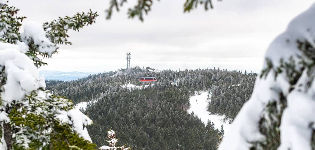snowy trees around barker summit