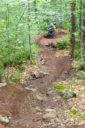 Mountain Biker