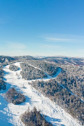 oz jordan bowl view