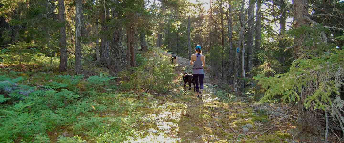 Hiker in community forest