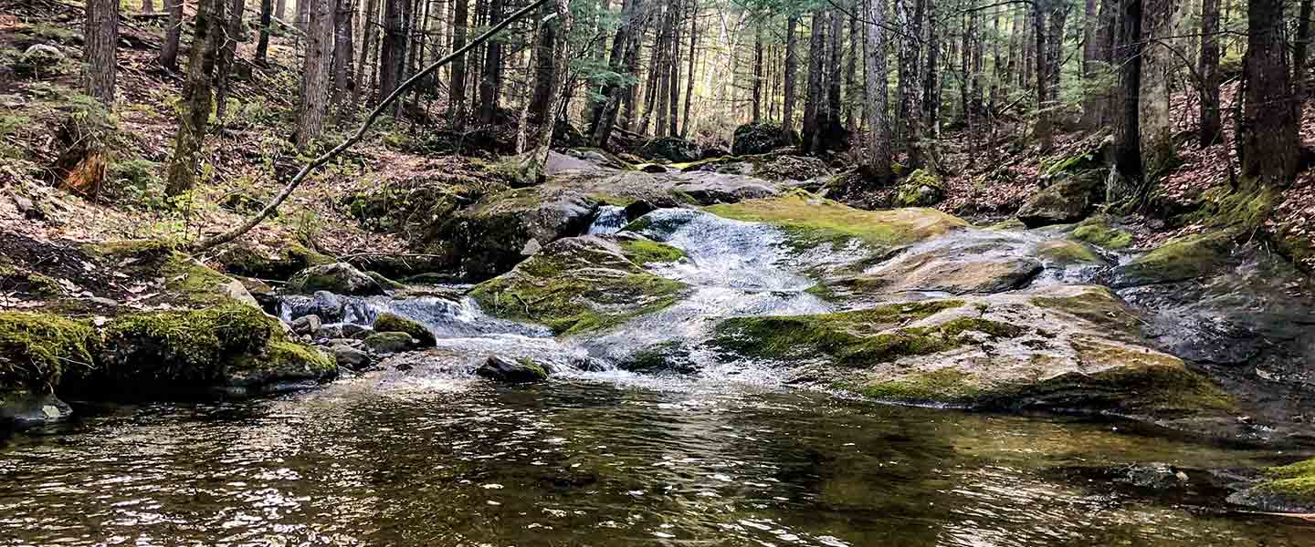 brook on long mountain trail