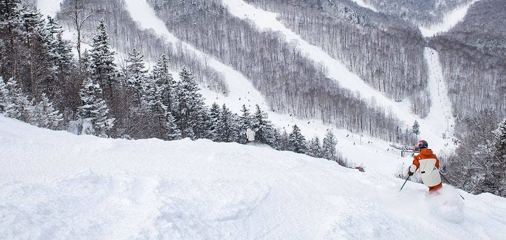 Skier in powder with ski trails in background