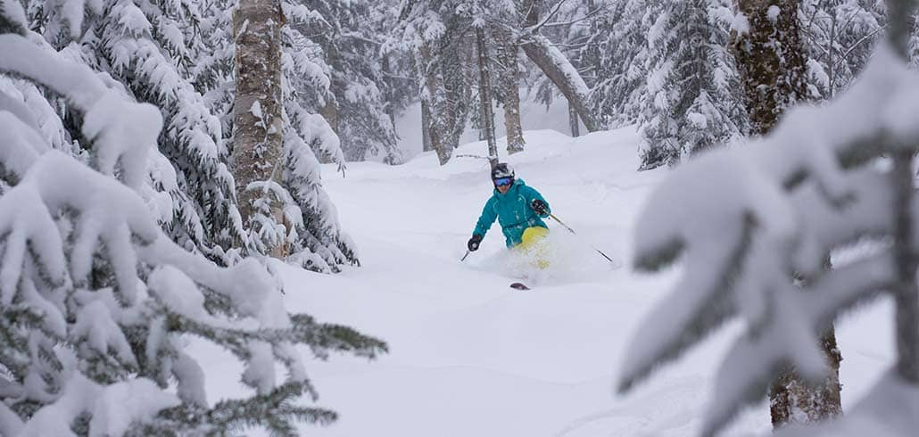 telemark skier