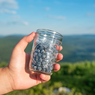 rumford whitecap maine blueberries hike