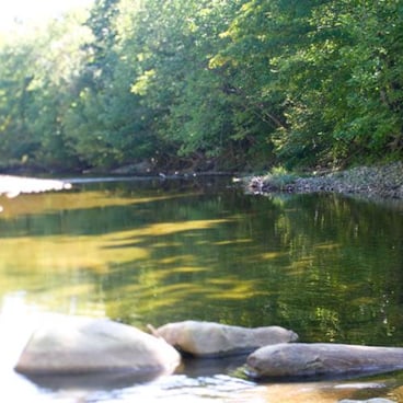 scenic trail with water