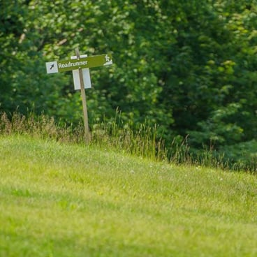 hiking trail