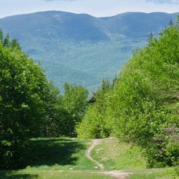 A worn in hiking path along Sunday Rivers ski slope with the Mahoosuc range in the distance