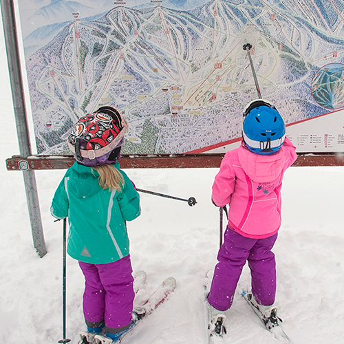 Kids looking at trail map.