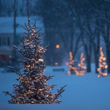 Tree lights in Bethel Village